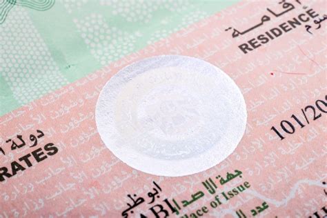 UAE visa amnesty 2024: who can apply, fees waived, fines .